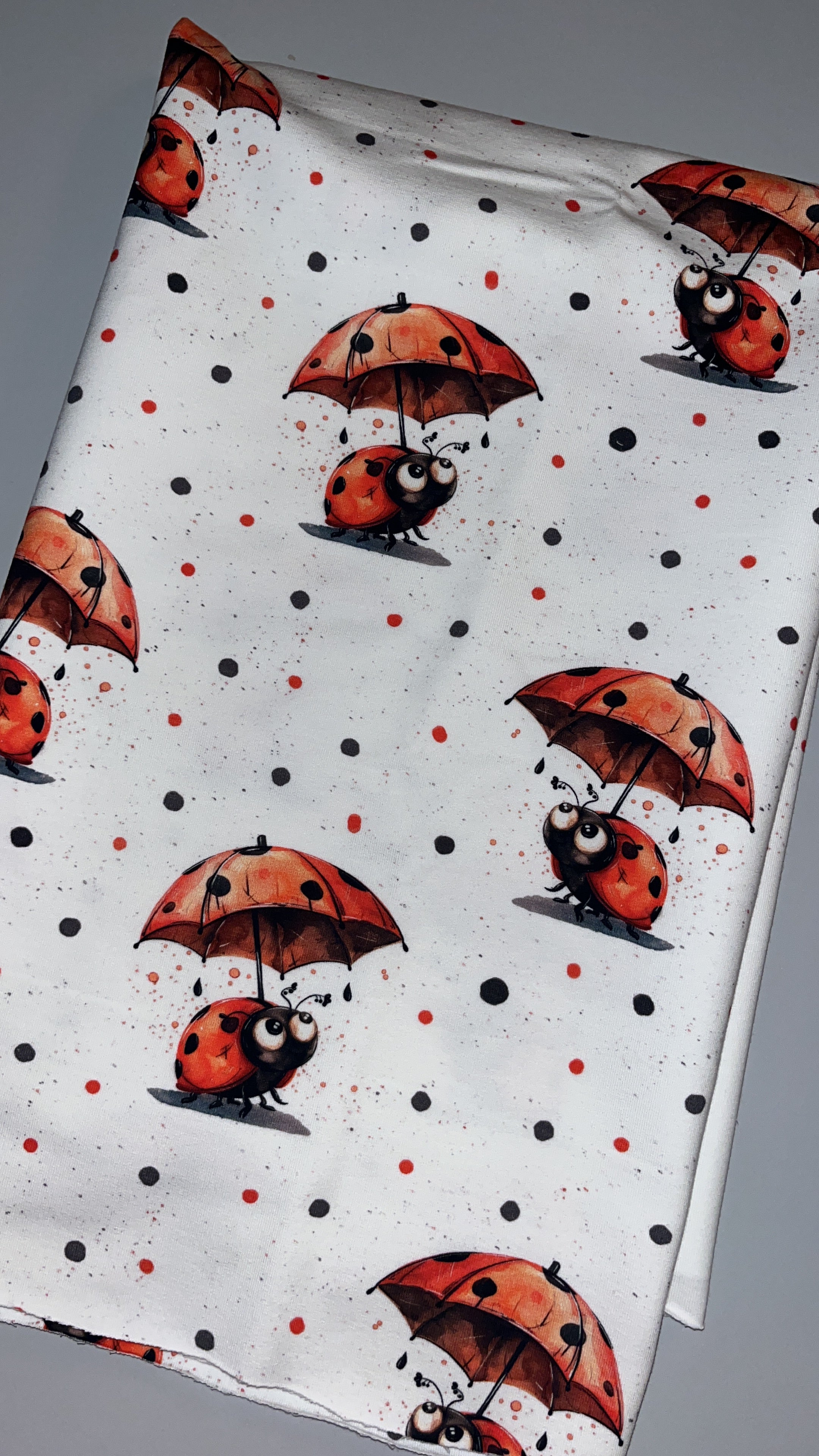 Marienkäfer Dauervorbestellung