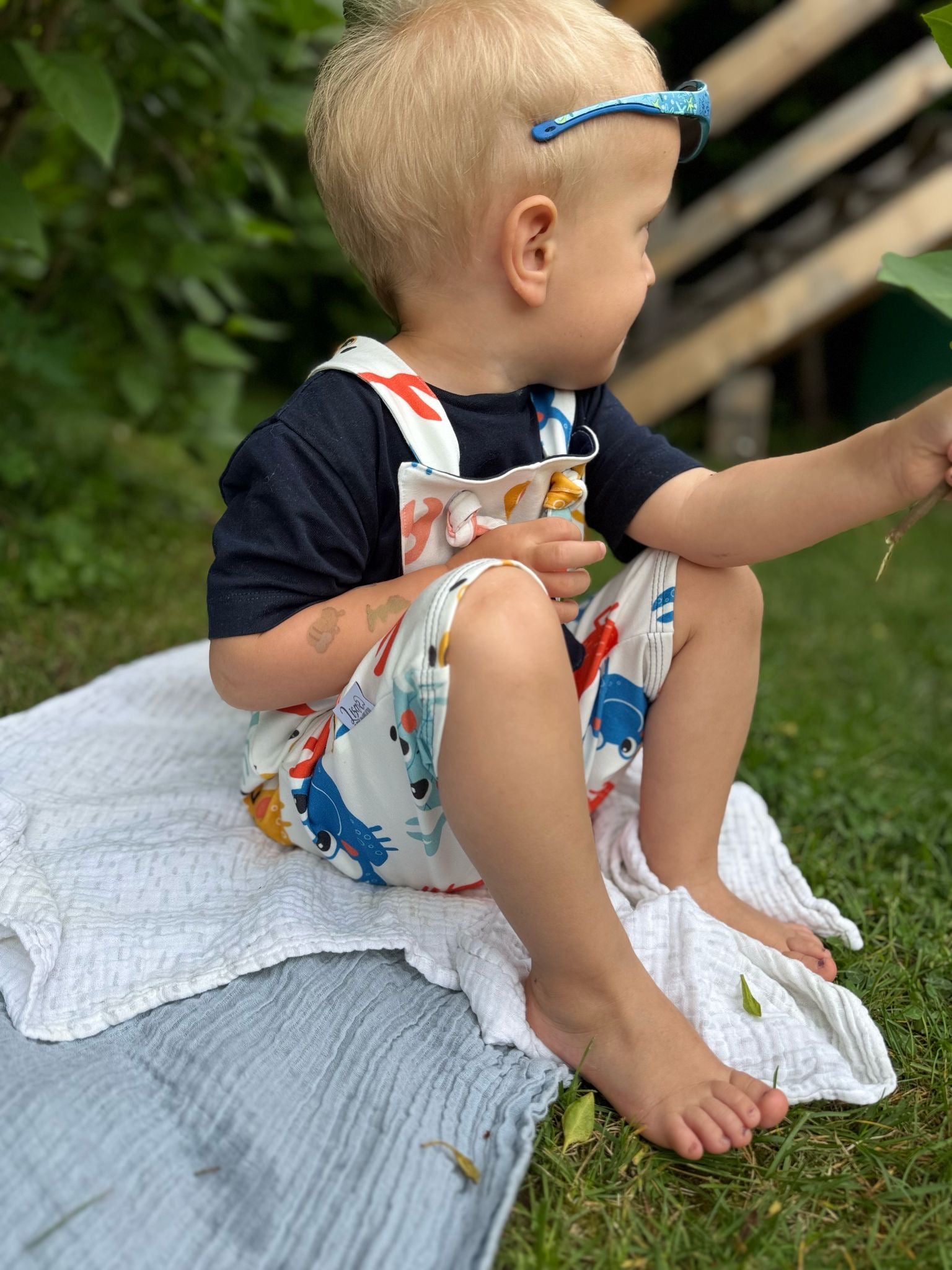 Kleiner Krebs Dauervorbestellung