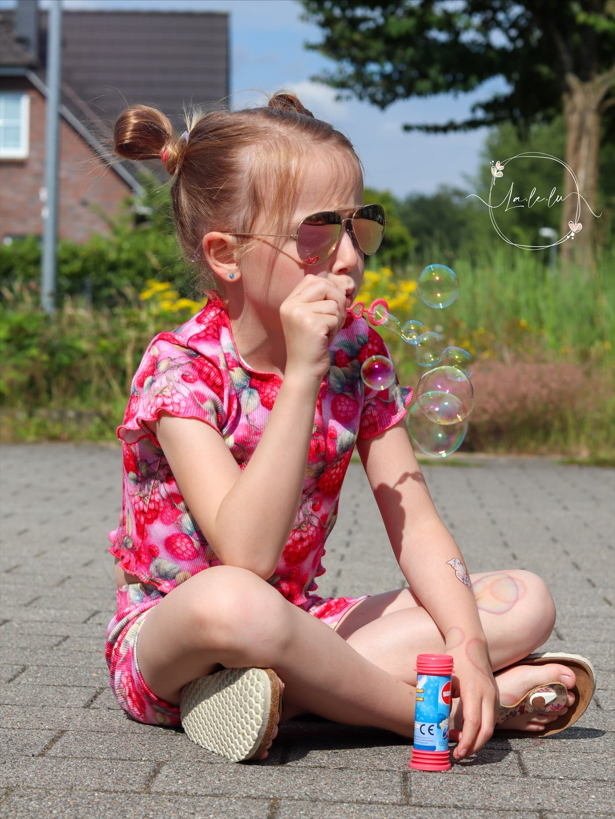 Himbeeren Neue Vorbestellung