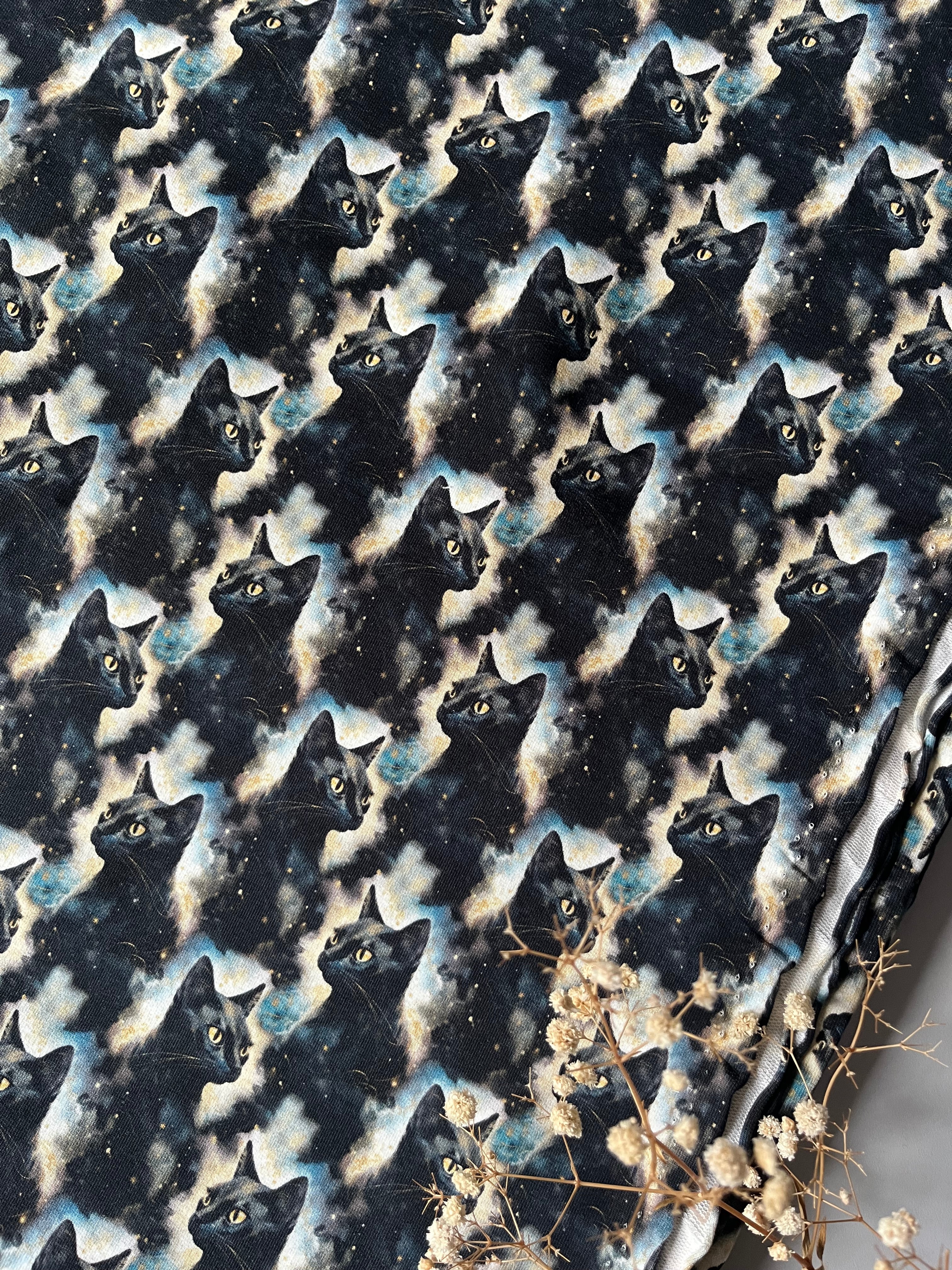 Zauber Katze Aktuelle Vorbestellung