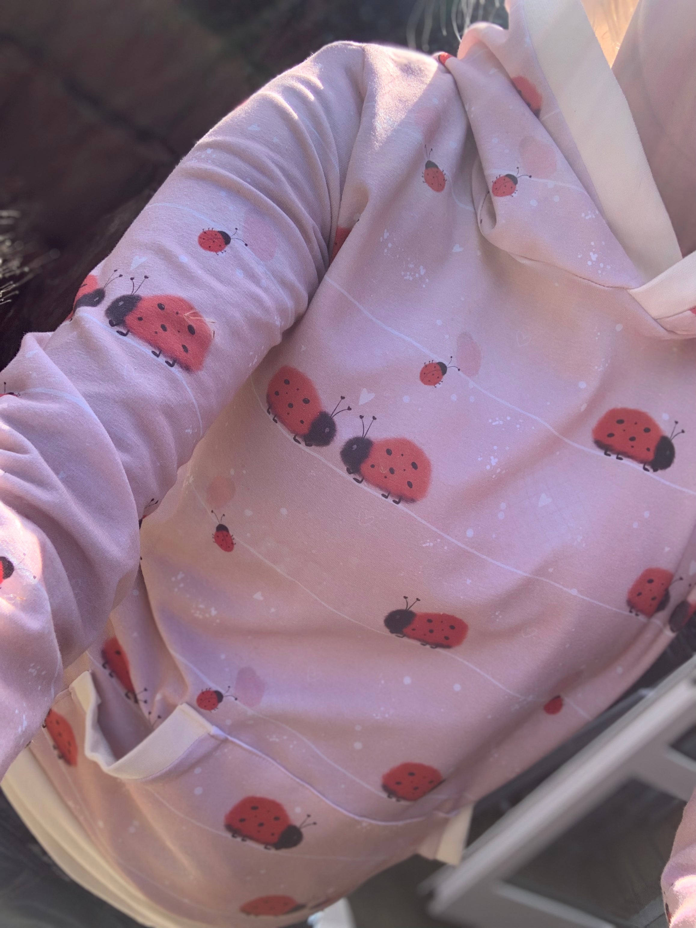 Marienkäfer Eigenproduktion Dauervorbestellung