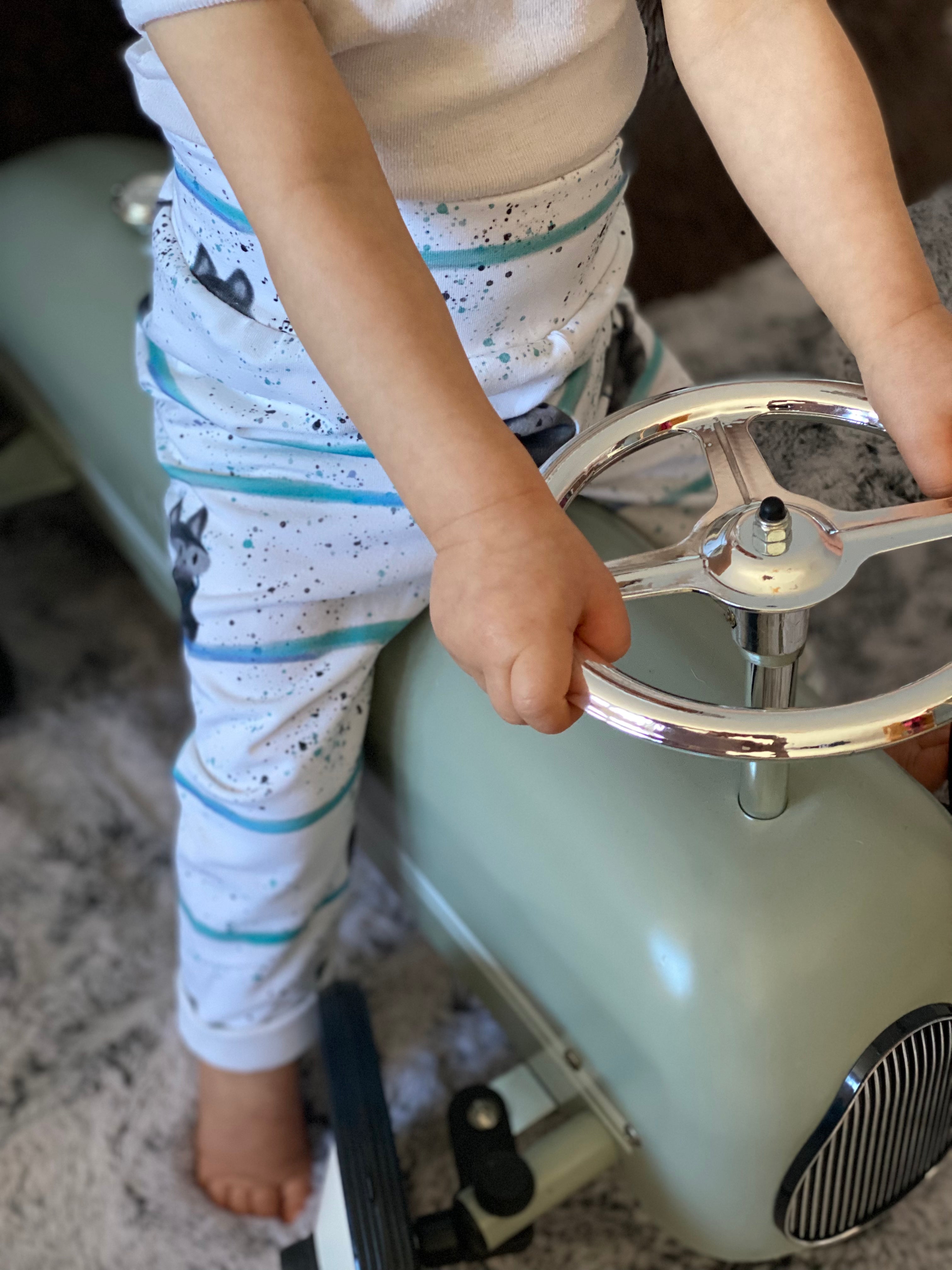 Waschbär Eigenproduktion Boy Dauervorbestellung