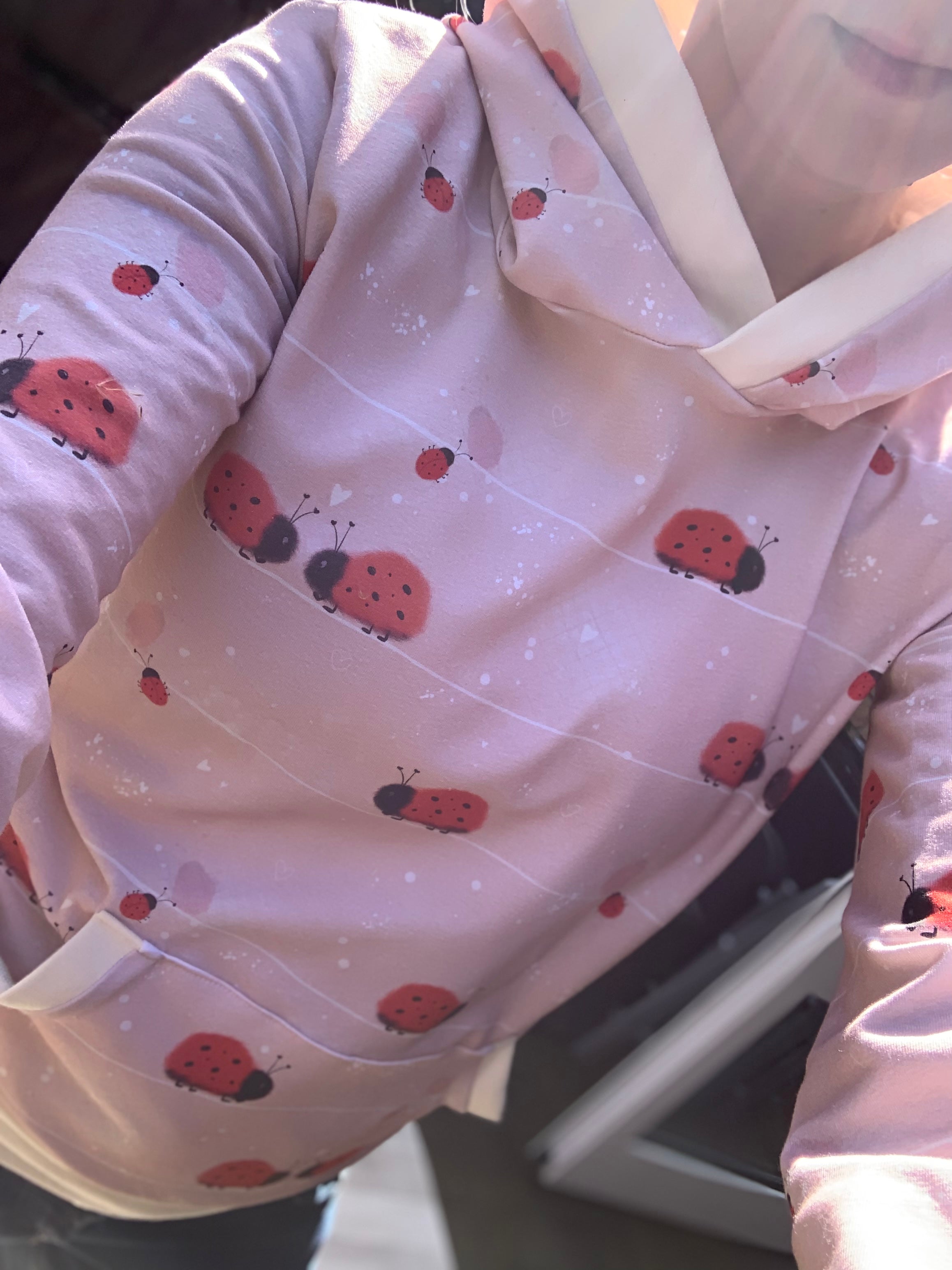 Marienkäfer Eigenproduktion Dauervorbestellung