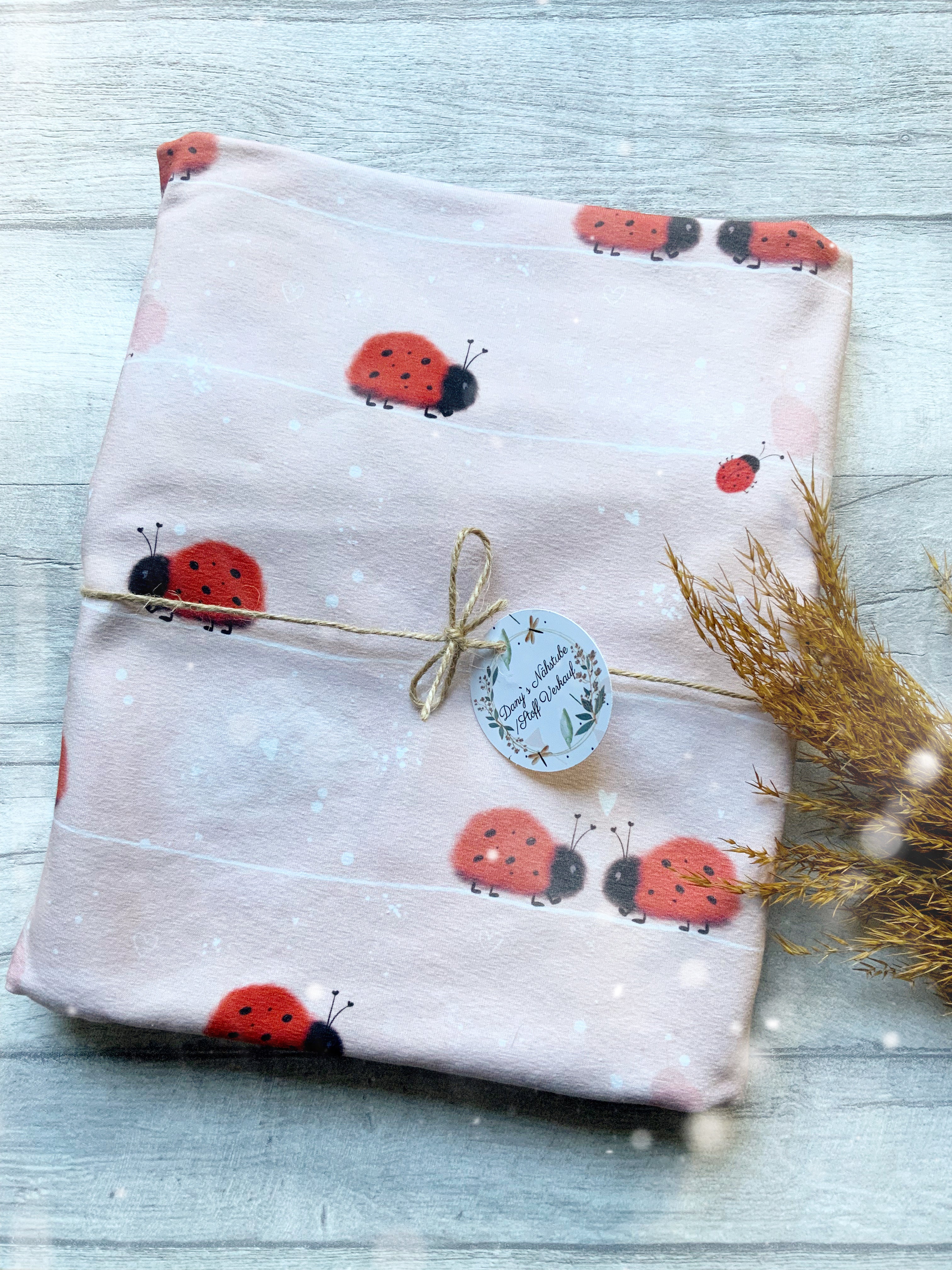 Marienkäfer Eigenproduktion Dauervorbestellung