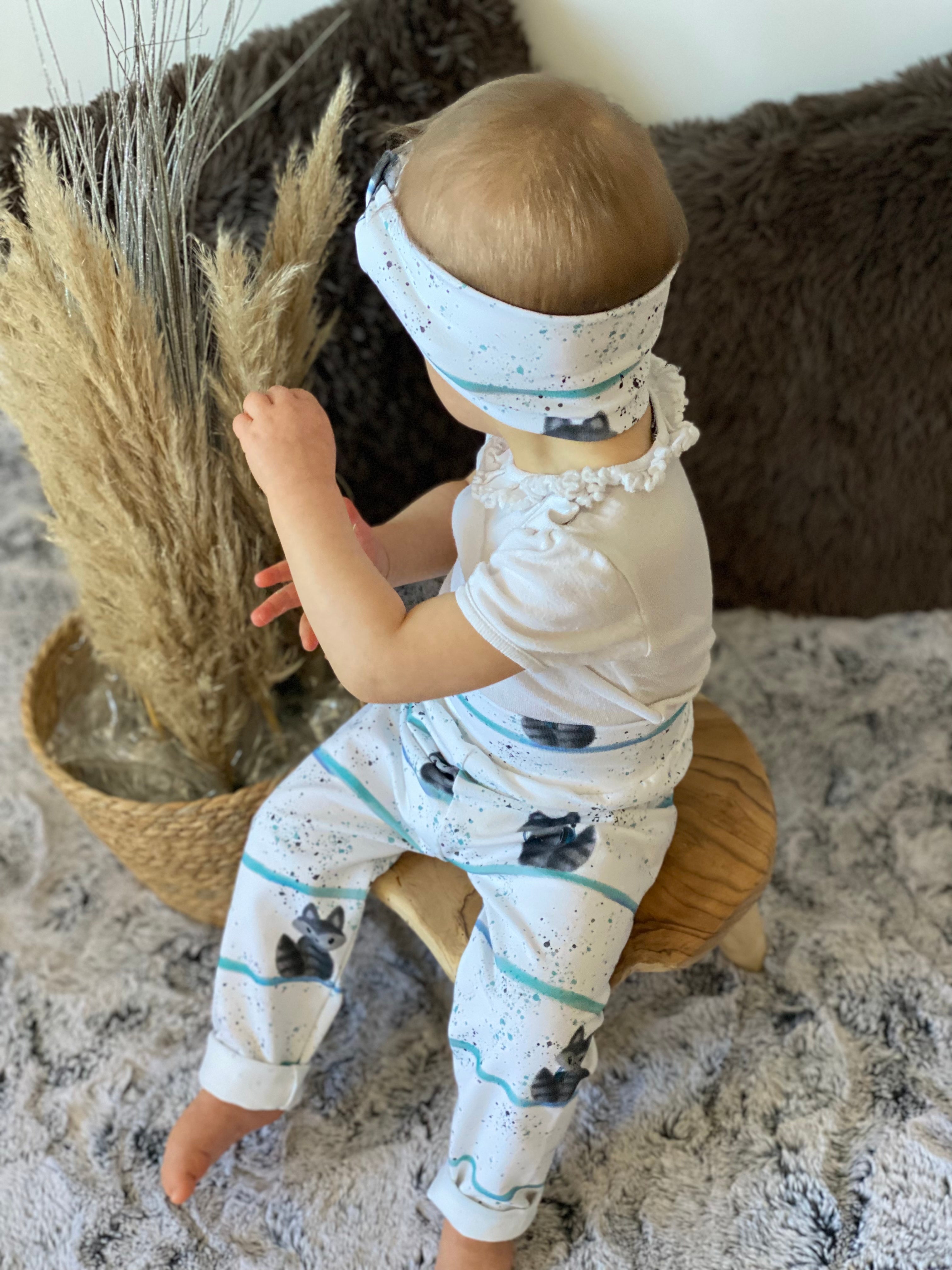 Waschbär Eigenproduktion Boy Dauervorbestellung