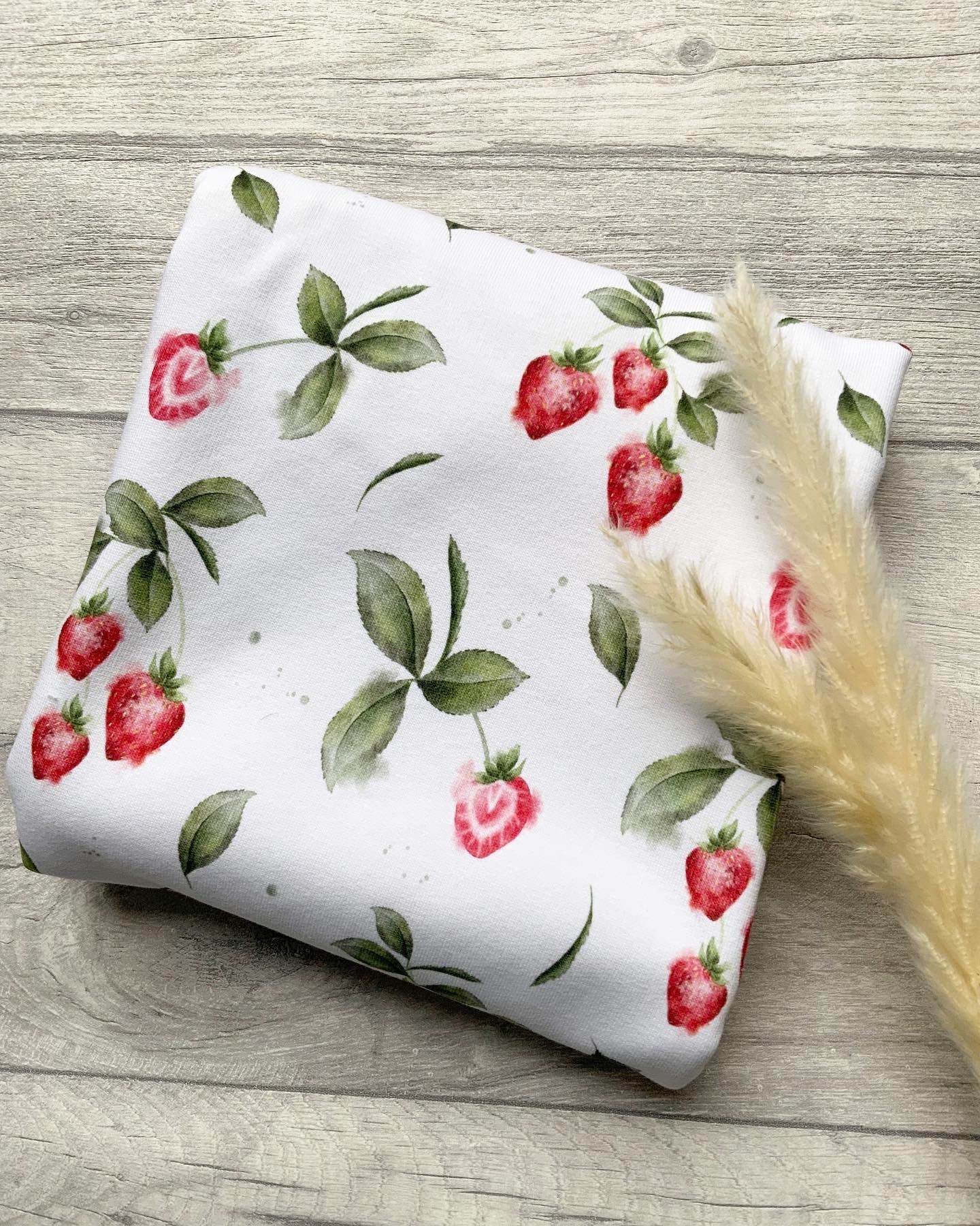 Erdbeeren Dauervorbestellung