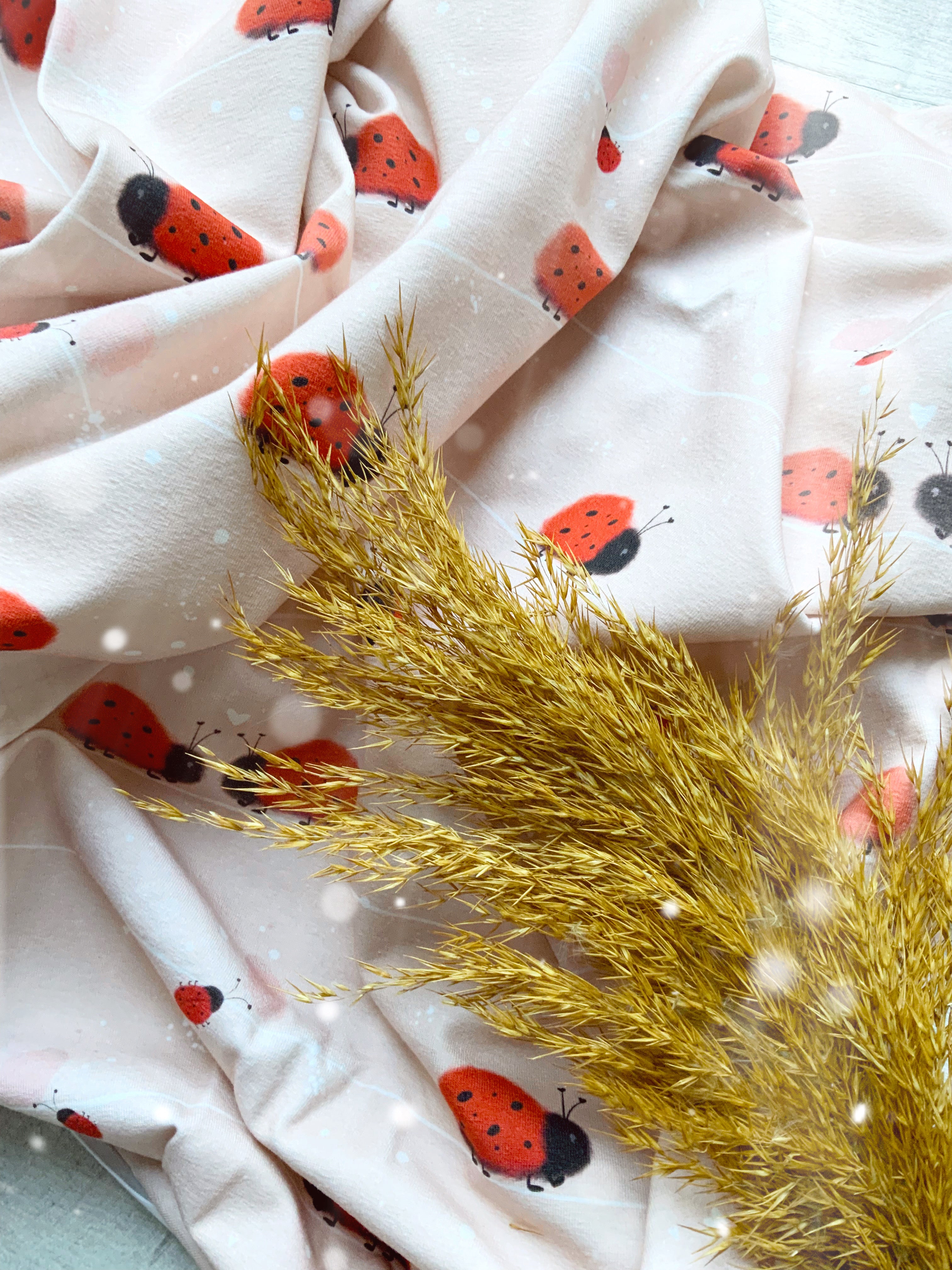 Marienkäfer Eigenproduktion Dauervorbestellung