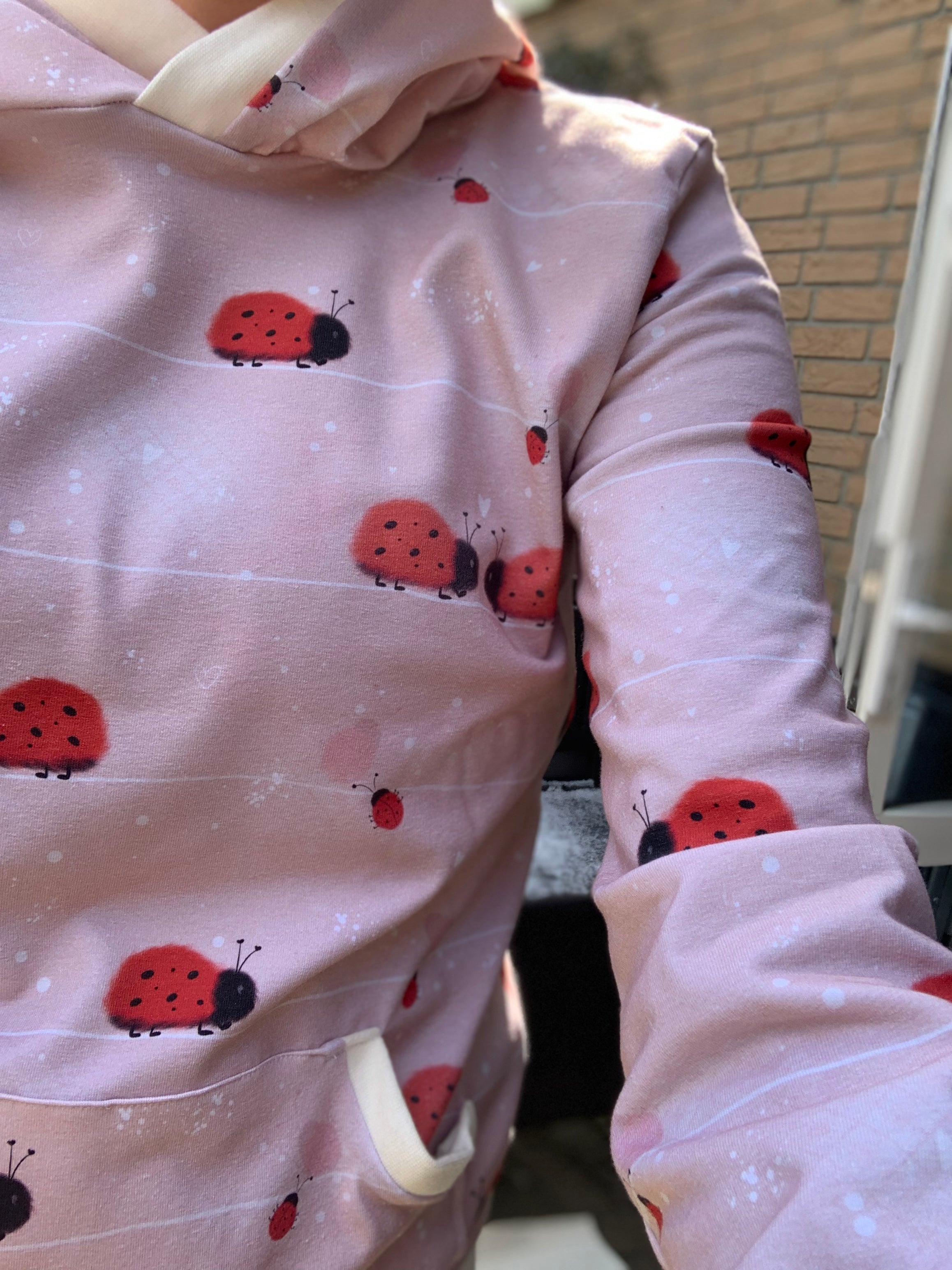 Marienkäfer Eigenproduktion Dauervorbestellung