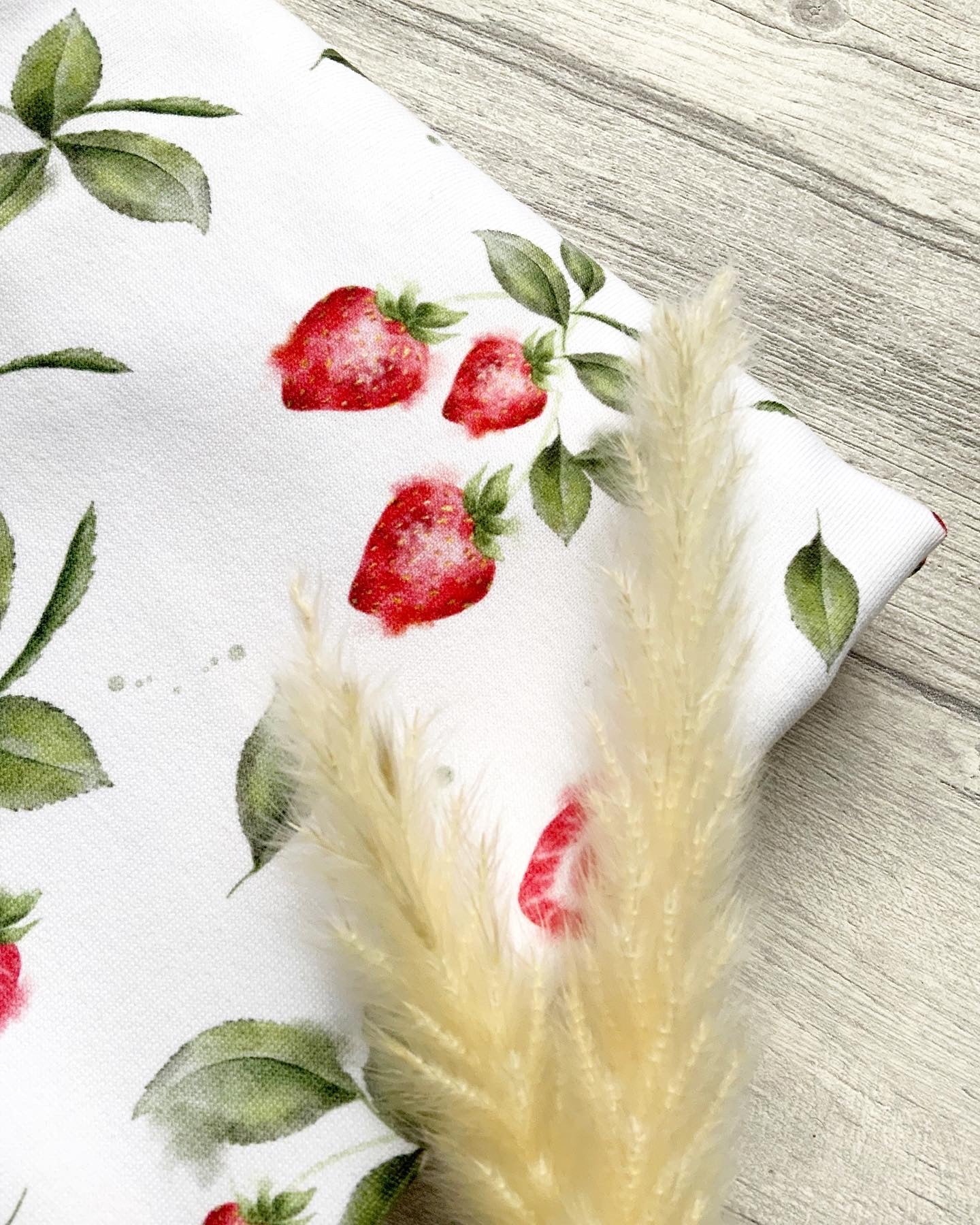 Erdbeeren Dauervorbestellung